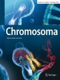 DNA replication and replication stress response in the context of nuclear architecture
