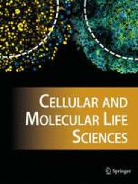 Mfsd7b facilitates choline transport and missense mutations affect choline transport function