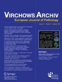 SATB2, CKAE1/AE3, and synaptophysin as a sensitive immunohistochemical panel for the detection of lymph node metastases of Merkel cell carcinoma