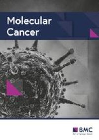 Exploiting autophagy balance in T and NK cells as a new strategy to implement adoptive cell therapies