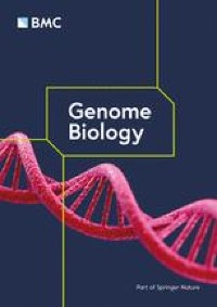 Turnover of strain-level diversity modulates functional traits in the honeybee gut microbiome between nurses and foragers