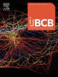 Hedgehog signalling in CD4+ T helper cell polarisation