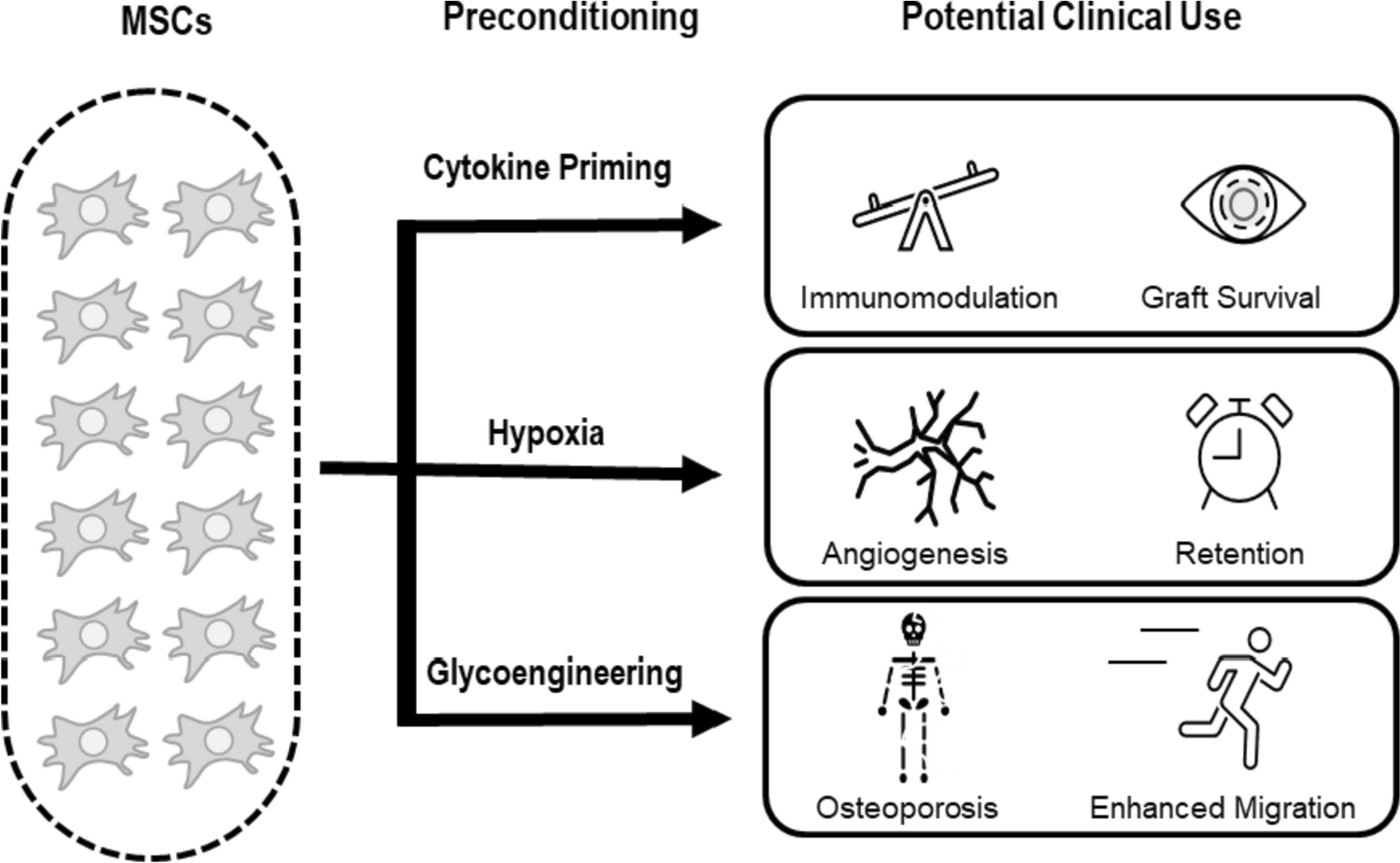 First Clinical Experiences Using Preconditioning Approaches to Improve MSC-Based Therapies