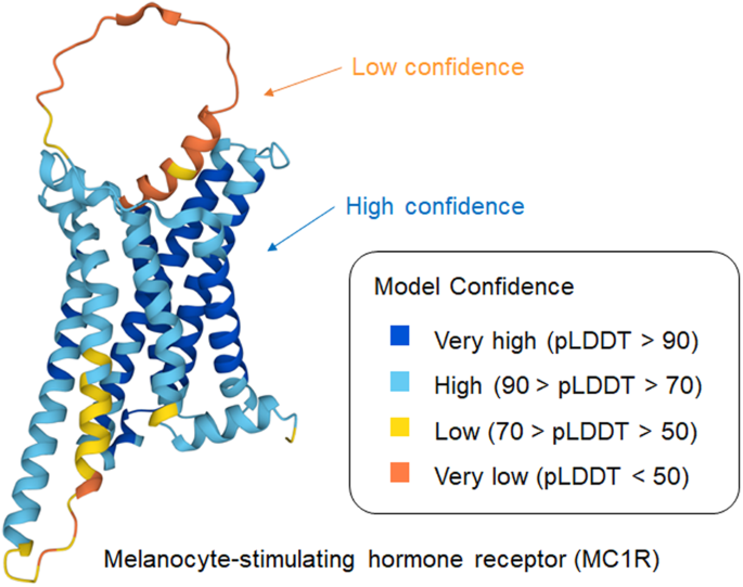 Prediction of protein structure and AI