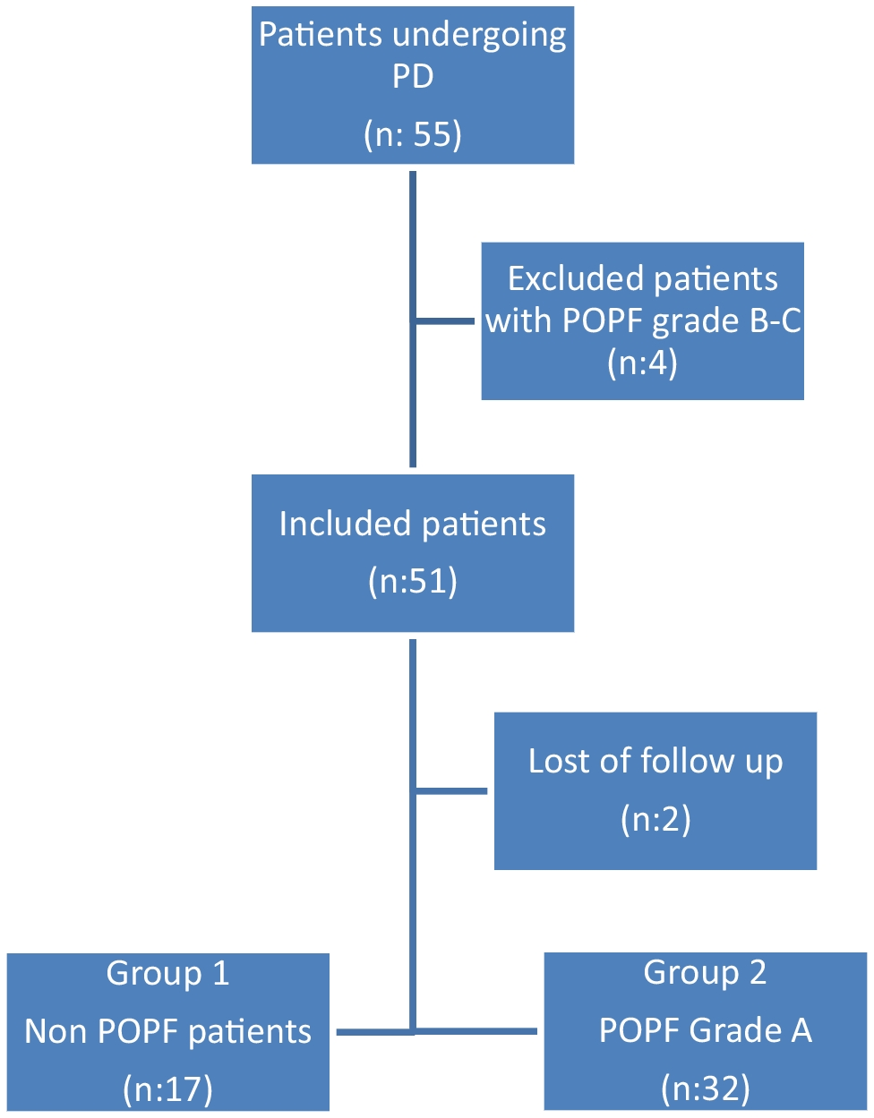Wirsung Diameter and Microchannel Presence as Risk Factors in Postoperative Pancreatic Fistulas