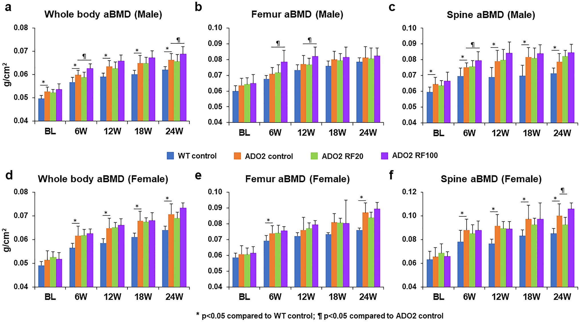 Effect of Roflumilast, a Selective PDE4 Inhibitor, on Bone Phenotypes in ADO2 Mice