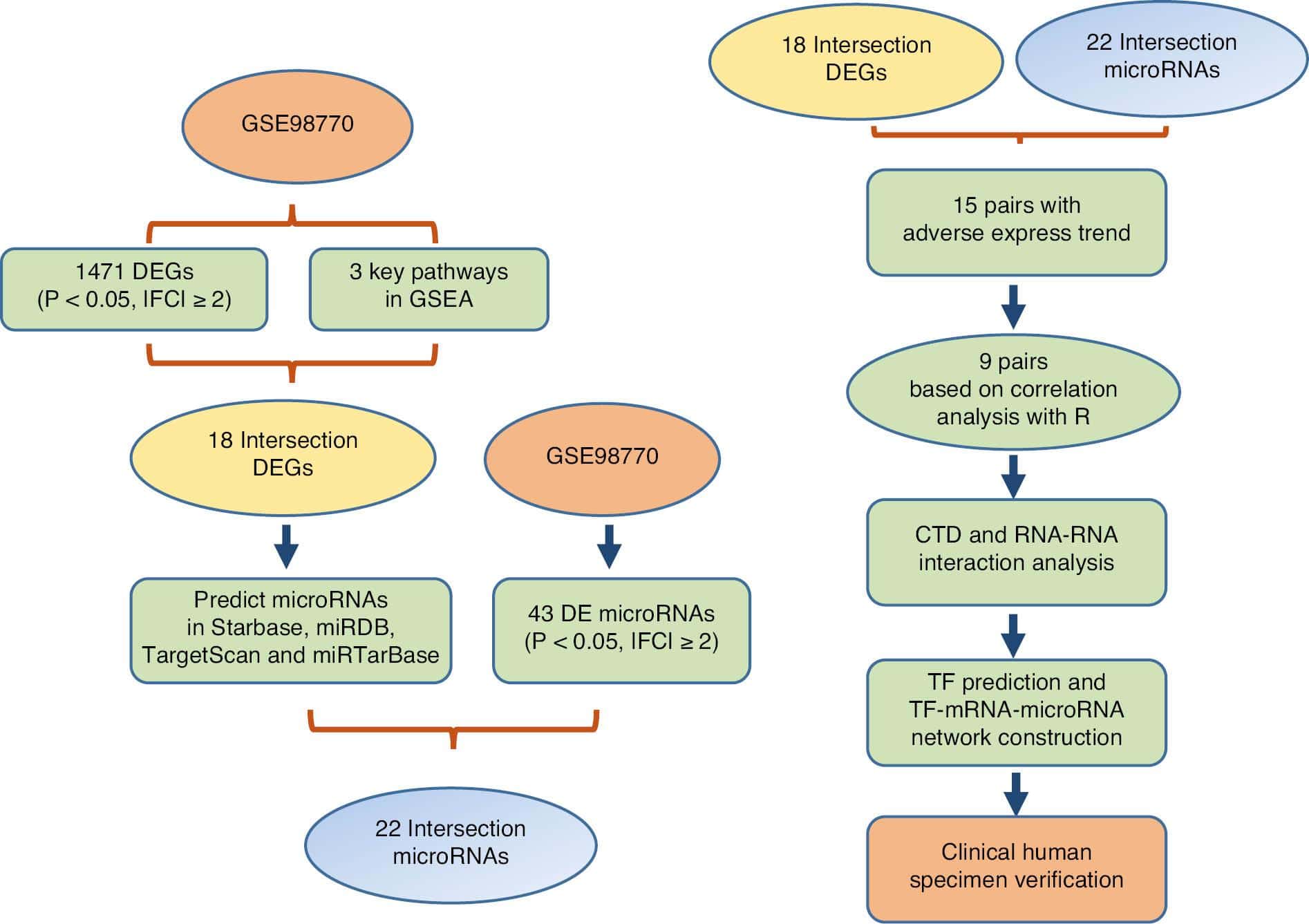 Genetic Analysis Reveals Key Regulatory Axis in Aortic Dissection: CBL Regulated by HOXB13 and microRNA-1321