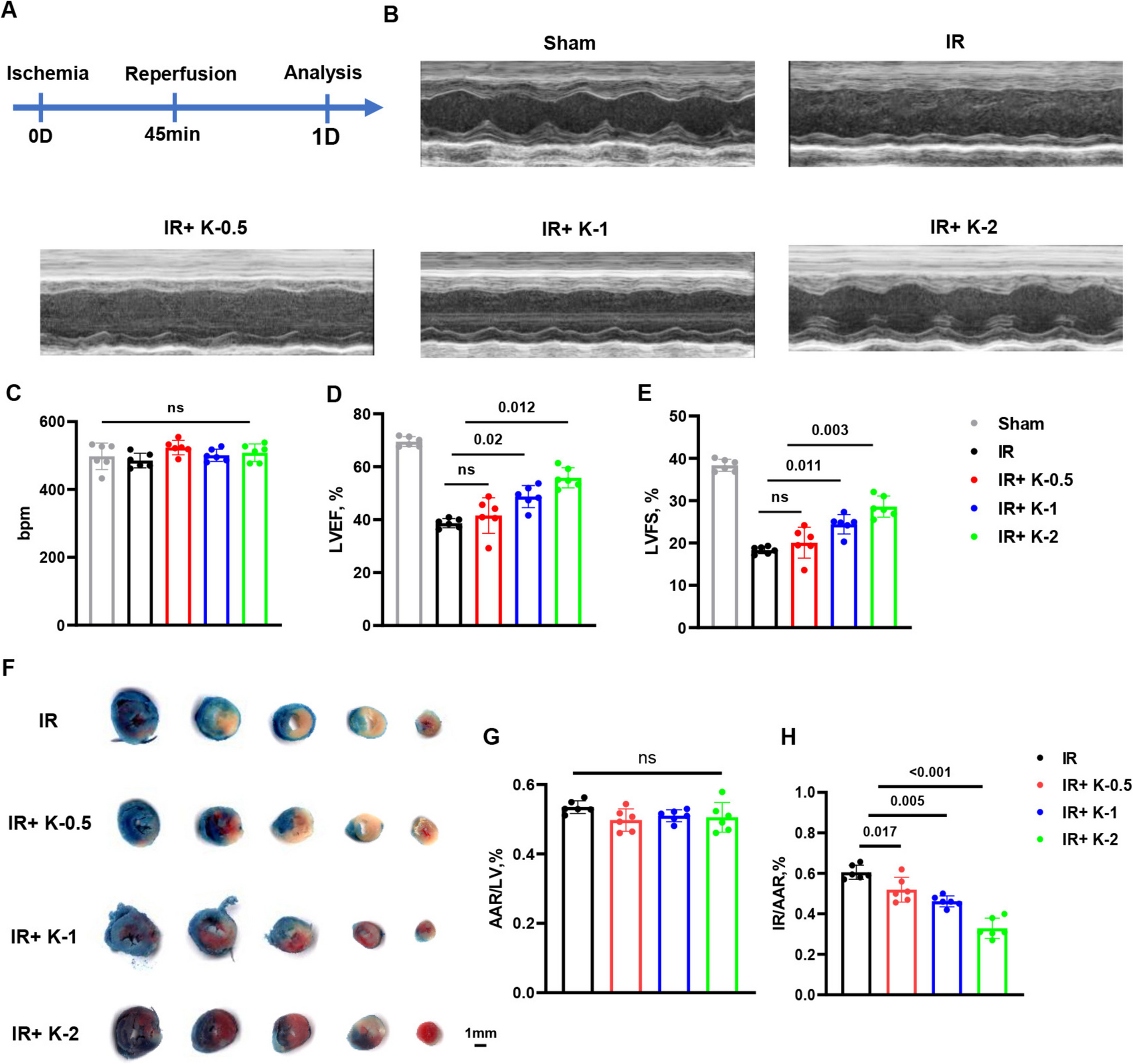 Kirenol Ameliorates Myocardial Ischemia–Reperfusion Injury by Promoting Mitochondrial Function and Inhibiting Inflammasome Activation
