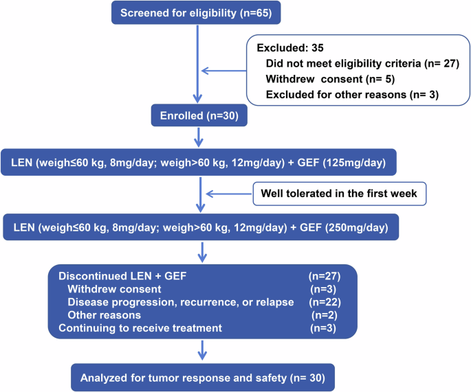 Efficacy and safety of lenvatinib plus gefitinib in lenvatinib-resistant hepatocellular carcinomas: a prospective, single-arm exploratory trial