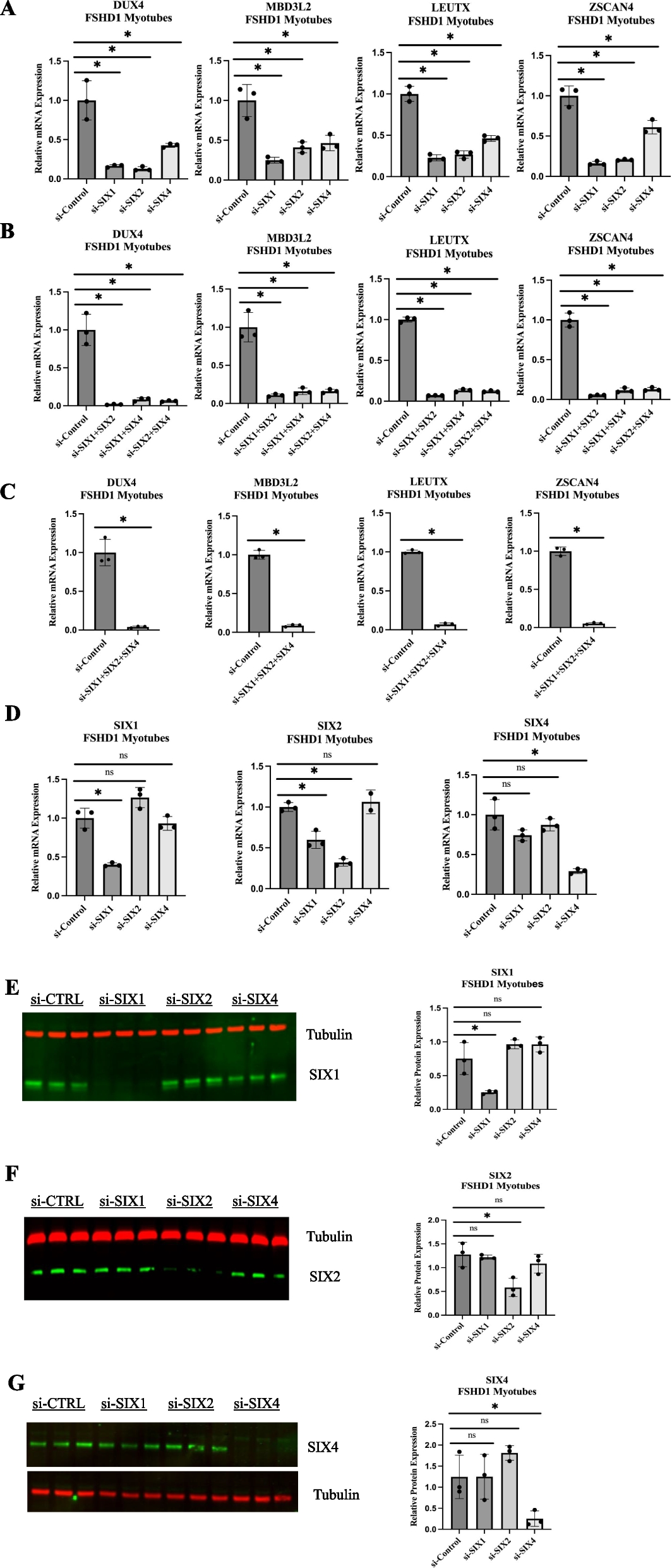 SIX transcription factors are necessary for the activation of DUX4 expression in facioscapulohumeral muscular dystrophy