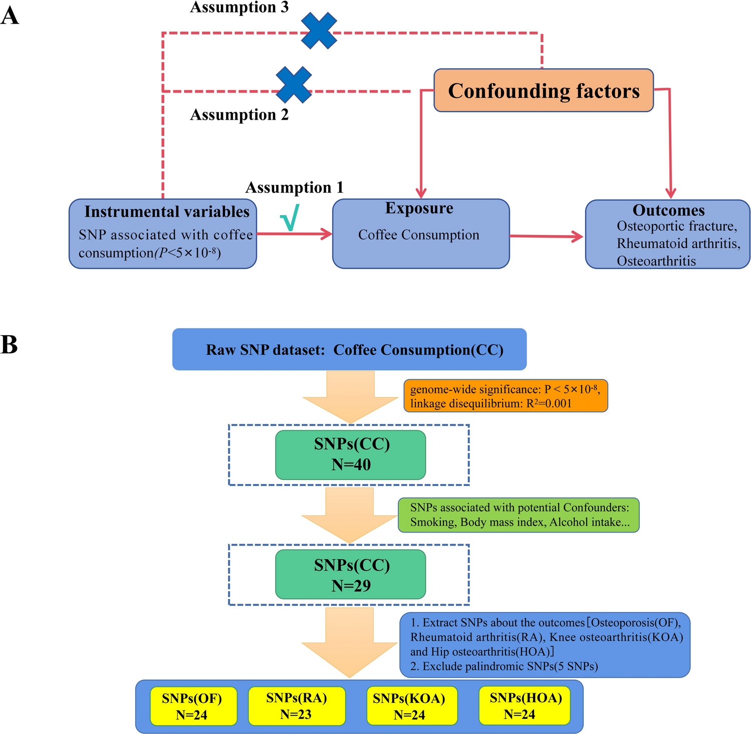 The effect of coffee consumption on three main bone disorders: a Mendelian randomization trial