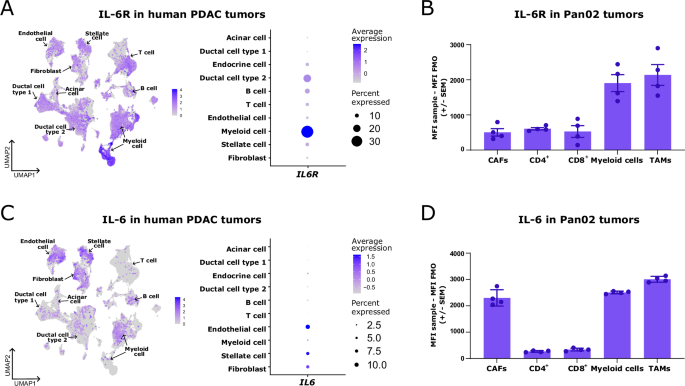 The antitumor activity of TGFβ-specific T cells is dependent on IL-6 signaling