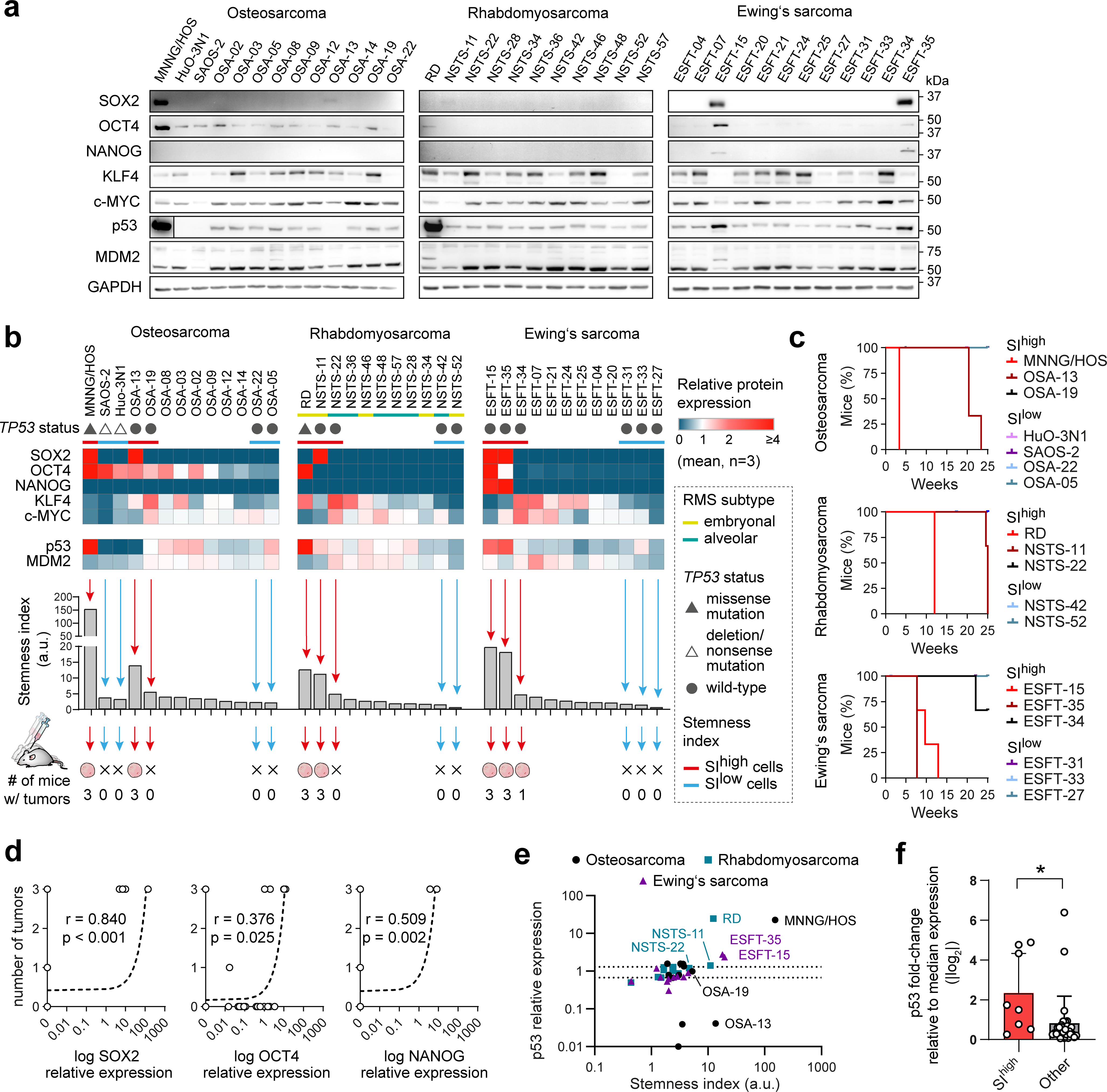 Dysregulation of the p53 pathway provides a therapeutic target in aggressive pediatric sarcomas with stem-like traits