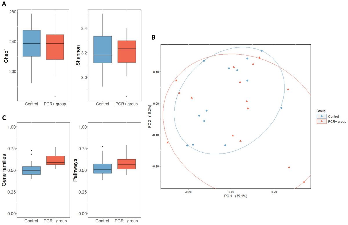 Gut microbiome and clinical and lifestyle host factors associated with recurrent positive RT-PCR for SARS-CoV-2