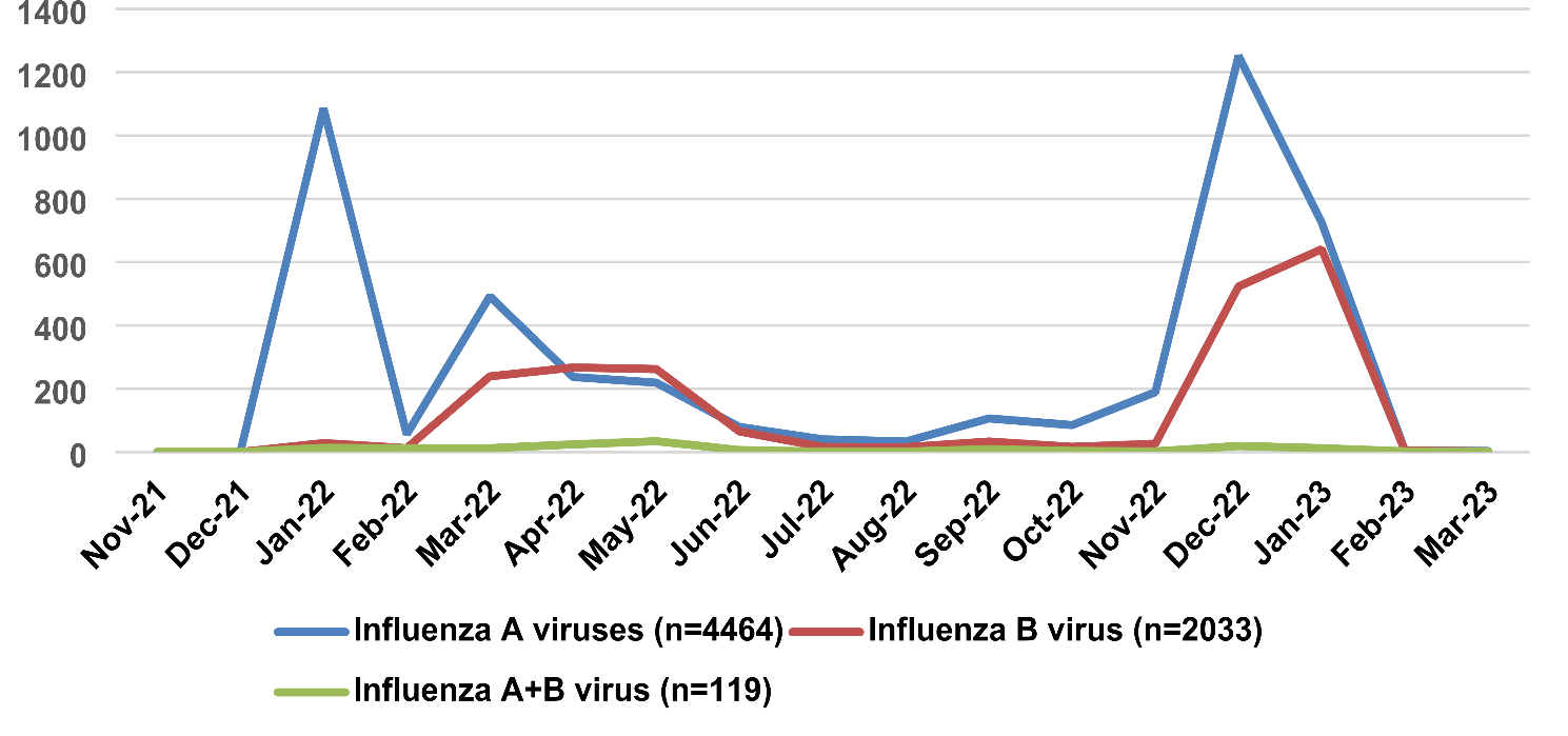 Molecular epidemiological analysis of Influenza viruses in Influenza-like illness cases: a retrospective study in Chongqing Hi-Tech Zone, China (2021–2024)