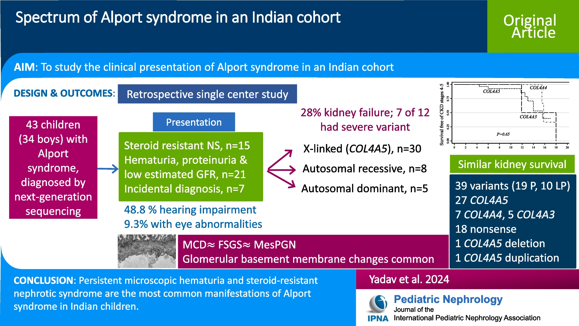 Spectrum of Alport syndrome in an Indian cohort
