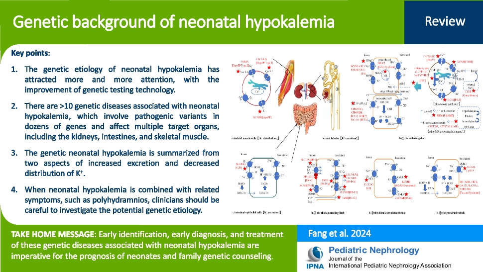Genetic background of neonatal hypokalemia