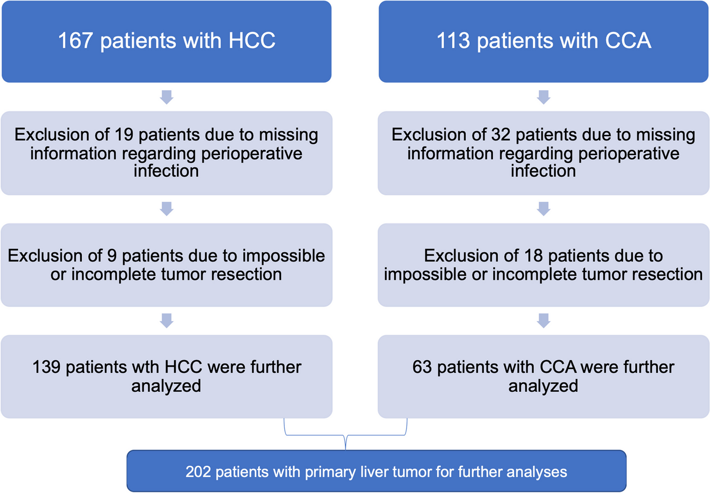 Perioperative infections as a prognostic risk factor in hepatocellular carcinoma and cholangiocellular carcinoma: a comparative analysis