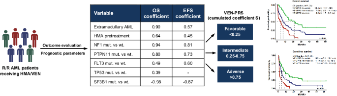 A novel prognostic risk model for patients with refractory/relapsed acute myeloid leukemia receiving venetoclax plus hypomethylating agents