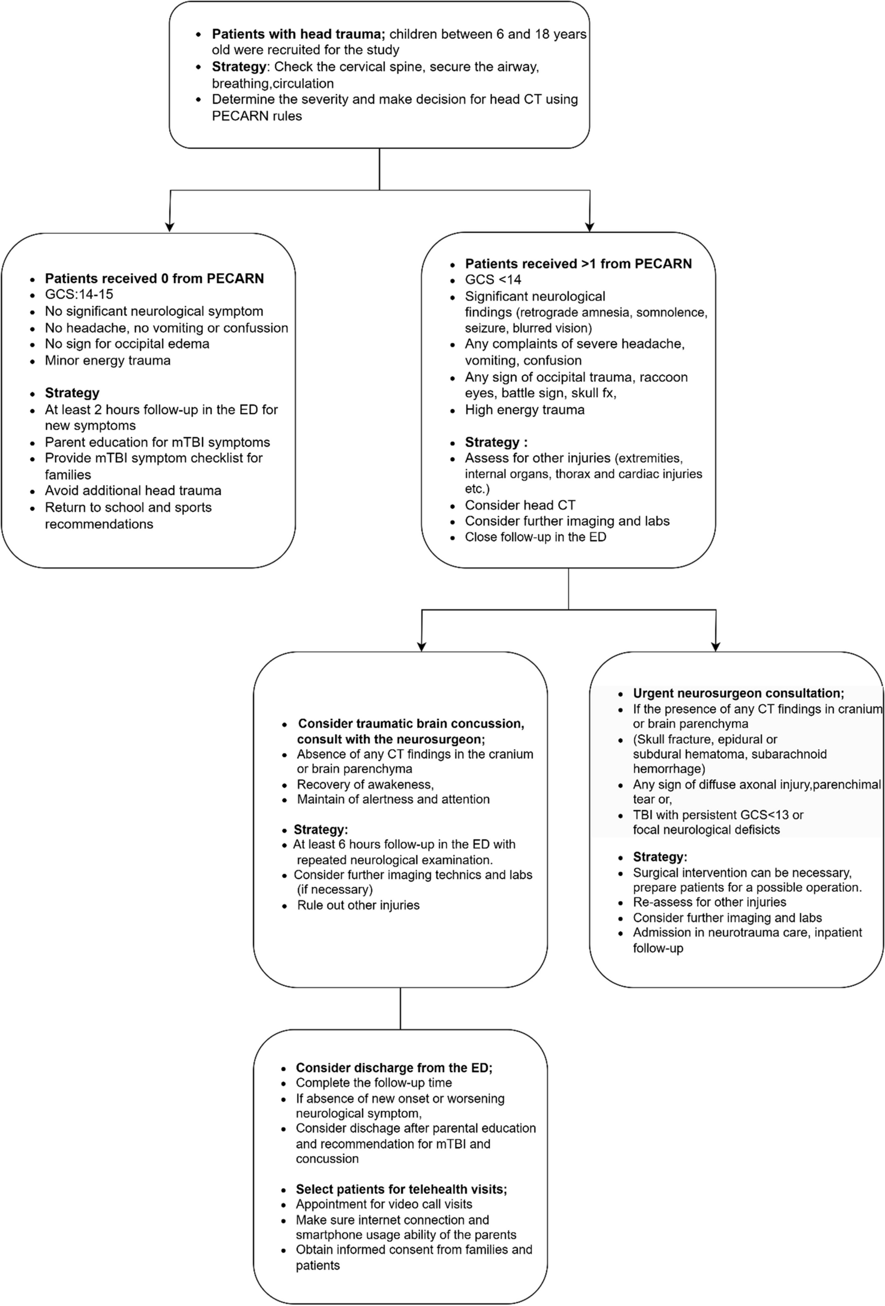 Challenges and effectiveness of remote neurological follow-up of children with concussion following TBI using telemedicine
