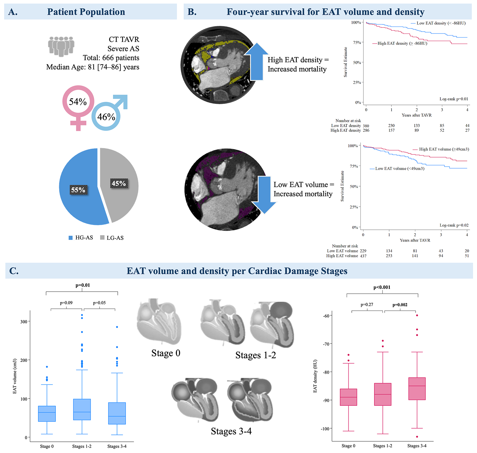 Epicardial adipose tissue, cardiac damage, and mortality in patients undergoing TAVR for aortic stenosis