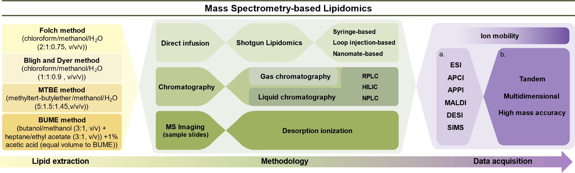 Lipidome disruption in Alzheimer’s disease brain: detection, pathological mechanisms, and therapeutic implications