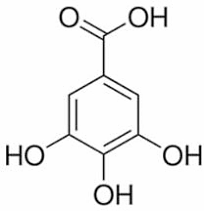 Gallic acid mitigates lipopolysaccharide-induced testicular inflammation via regulation of the NF-κB and PK2/PKR1 pathway