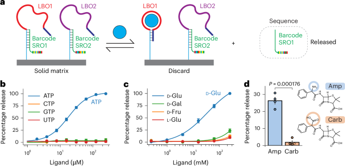 Quantifying metabolites using structure-switching aptamers coupled to DNA sequencing