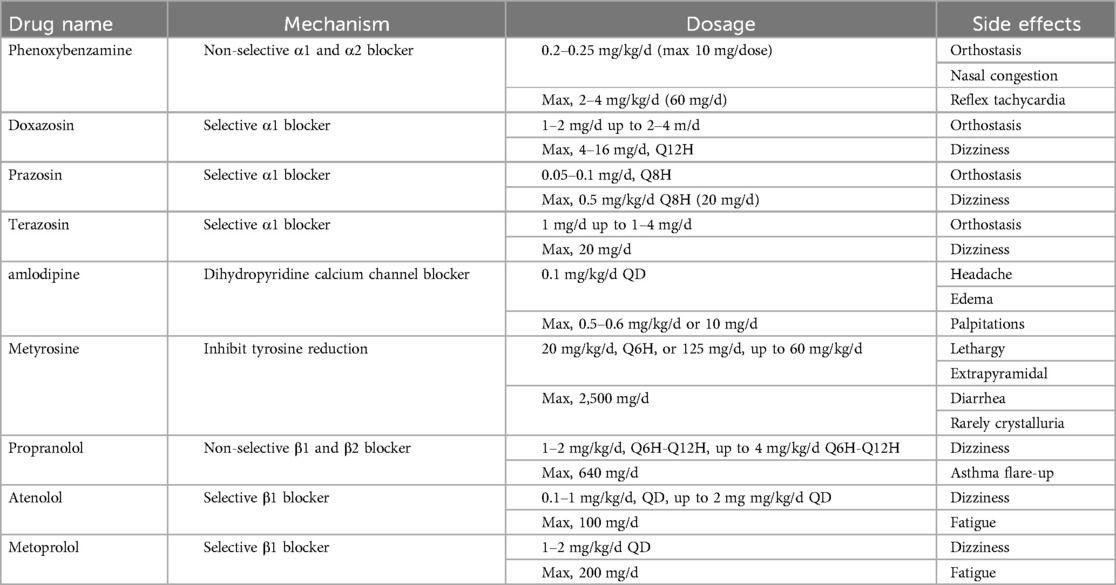 Comprehensive case report and literature review on perioperative management of multiple pheochromocytoma in a pediatric patient