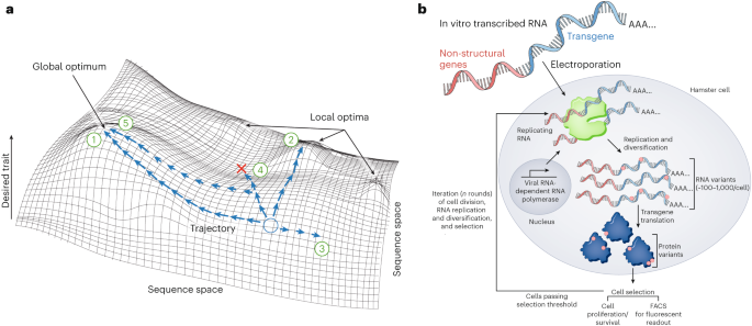 REPLACE-ing RNA through evolution