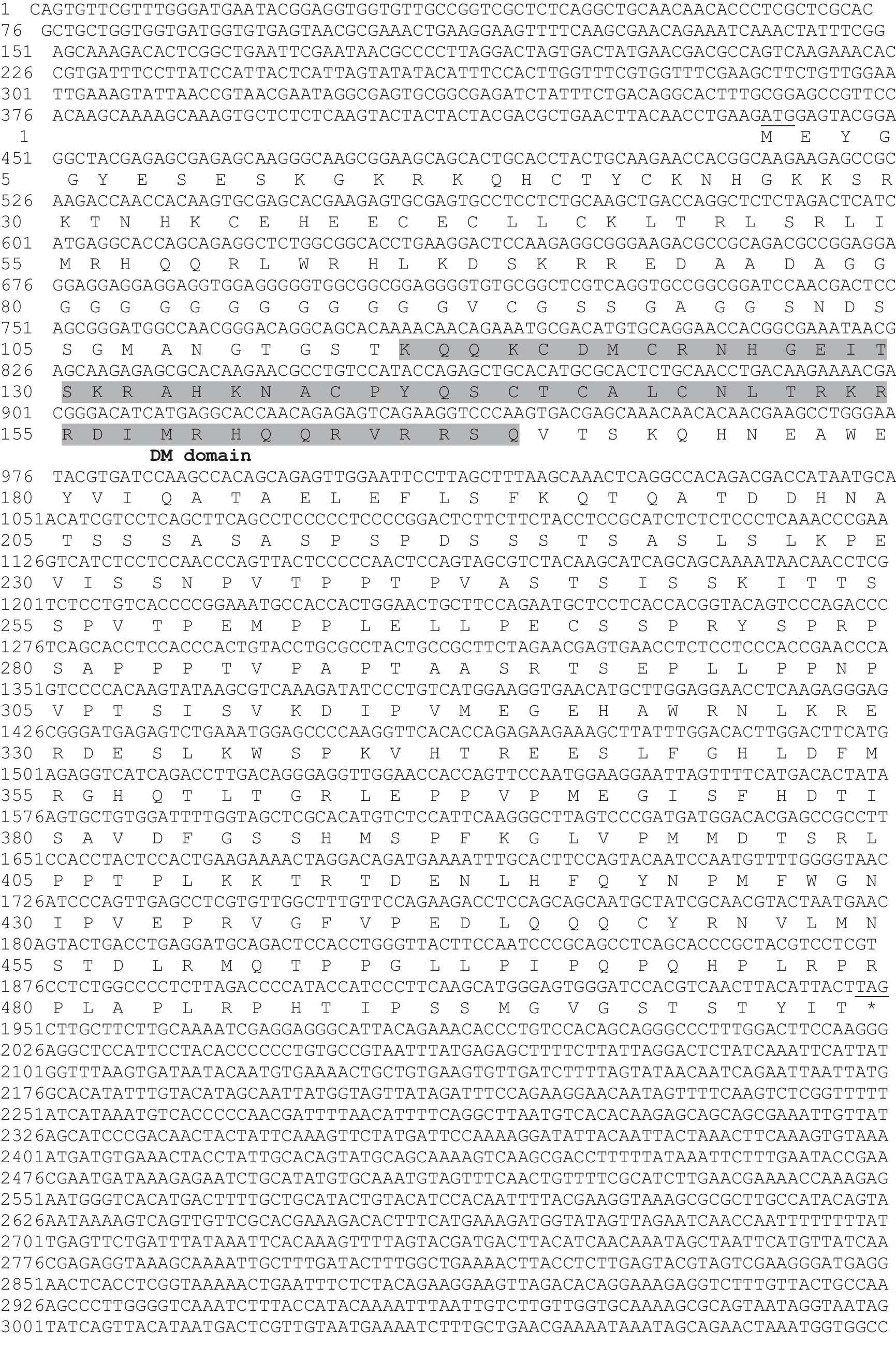 Identification and characterization of the Dmrt1B gene in the oriental river prawn, Macrobrachium nipponense