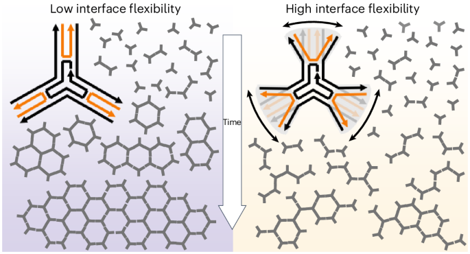 Interface flexibility controls the nucleation and growth of supramolecular networks