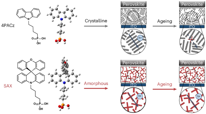 Molecular contacts with an orthogonal π-skeleton induce amorphization to enhance perovskite solar cell performance