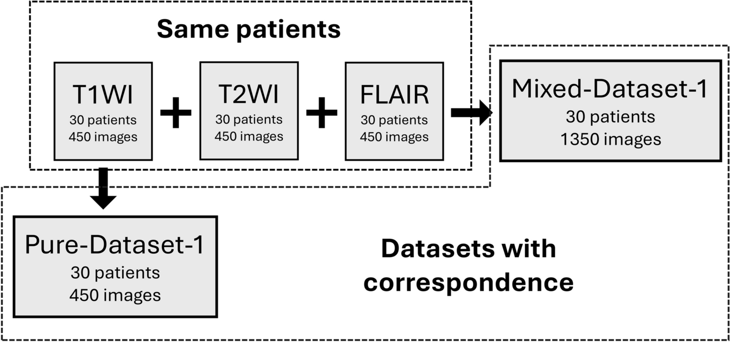 Dataset augmentation with multiple contrasts images in super-resolution processing of T1-weighted brain magnetic resonance images