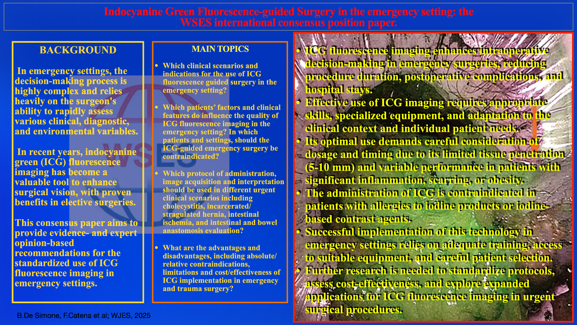 Indocyanine green fluorescence-guided surgery in the emergency setting: the WSES international consensus position paper