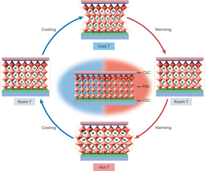 Resilience pathways for halide perovskite photovoltaics under temperature cycling