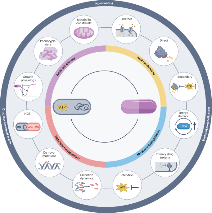 The role of bacterial metabolism in antimicrobial resistance