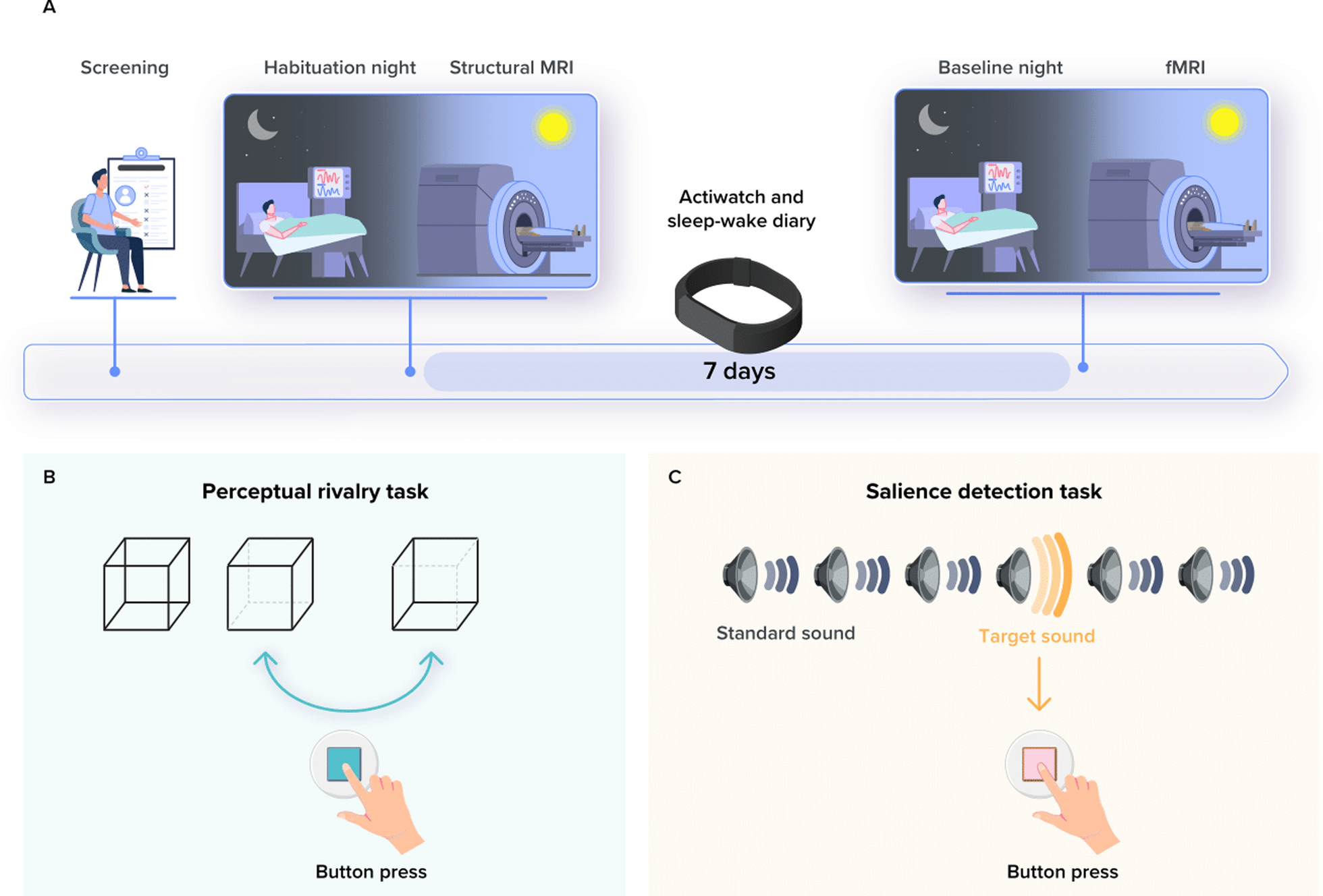 REM sleep quality is associated with balanced tonic activity of the locus coeruleus during wakefulness