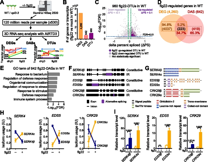 Global profiling of CPL3-mediated alternative splicing reveals regulatory mechanisms of DGK5 in plant immunity and phosphatidic acid homeostasis
