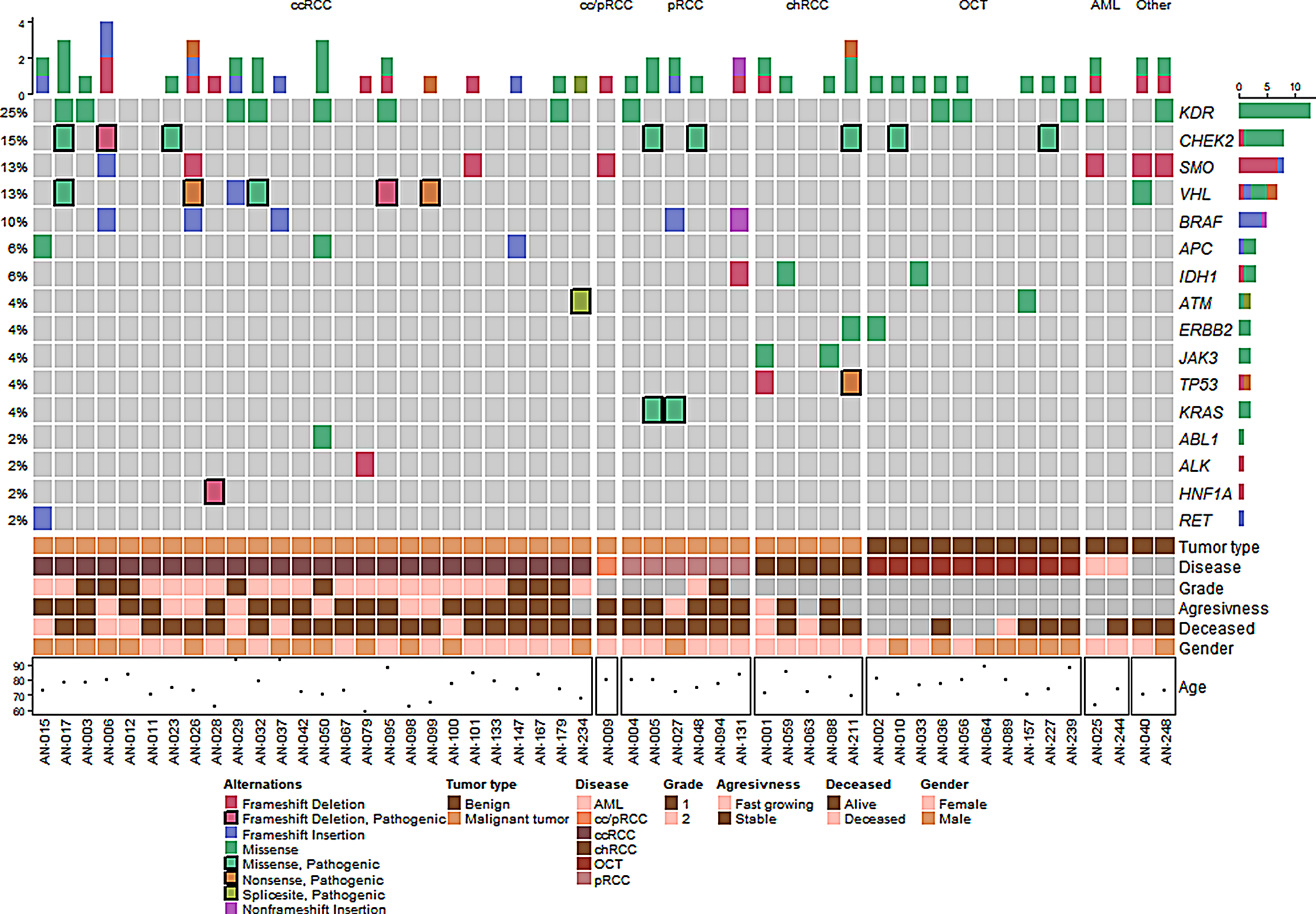Genomic analysis of small renal masses reveals mutations linked with renal cell carcinoma and fast-growing tumors
