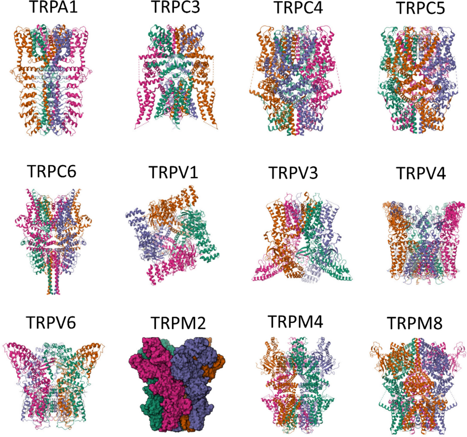 Calcium channels as pharmacological targets for cancer therapy