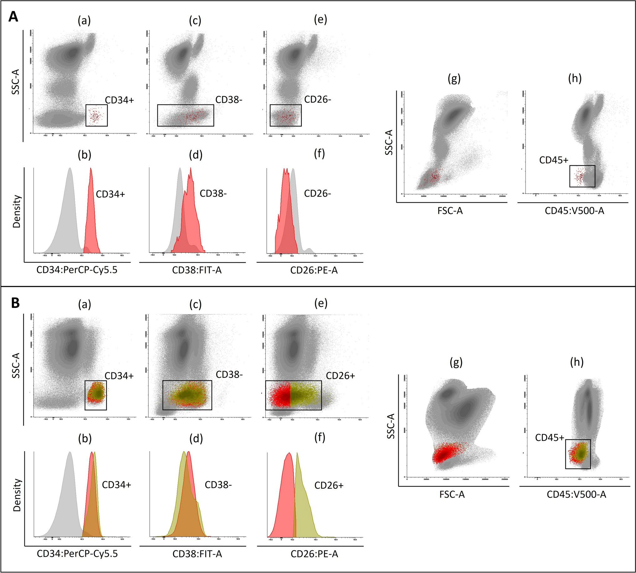 Evaluation of leukemic stem cell (CD26 +) in chronic myeloid leukemia patients with different molecular responses and in treatment-free remission