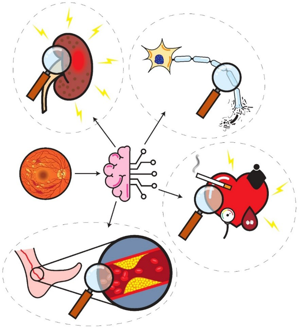 Artificial intelligence for early detection of diabetes mellitus complications via retinal imaging