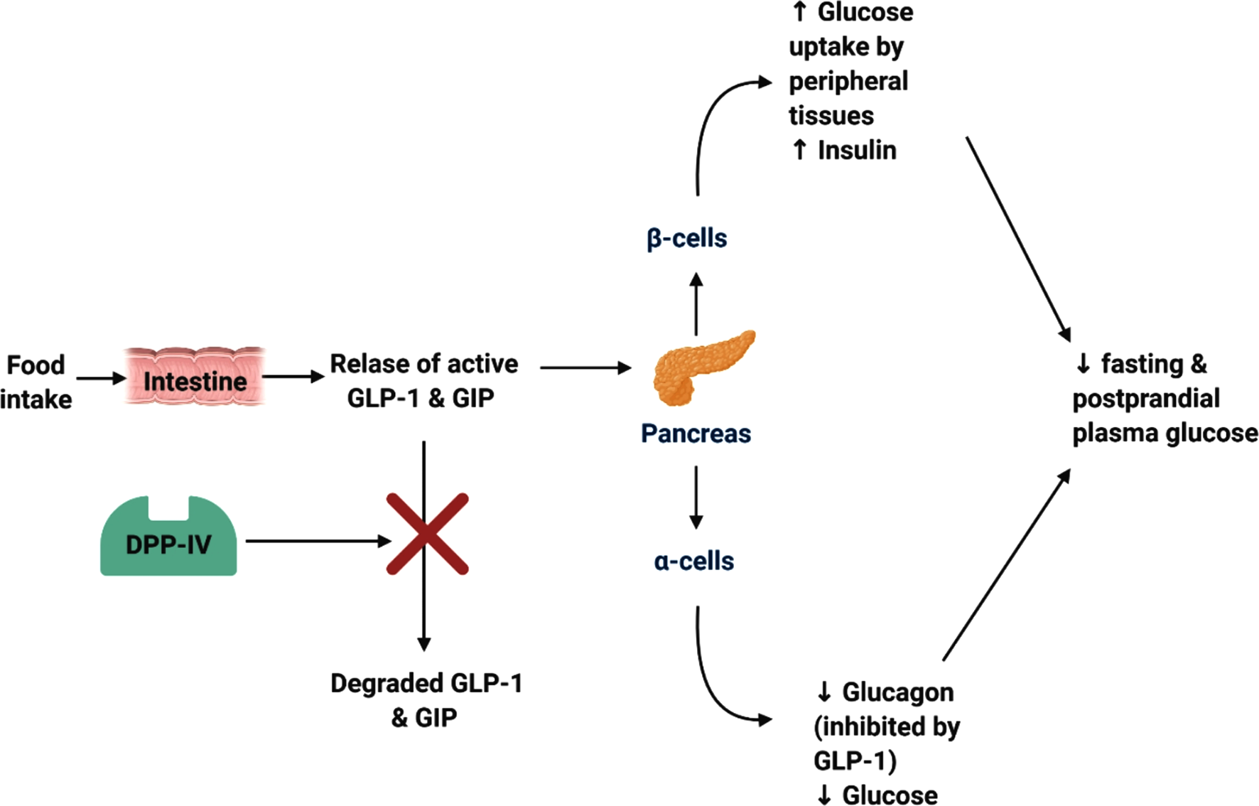 DPP-IV and FAS inhibitory peptides: therapeutic alternative against diabesity