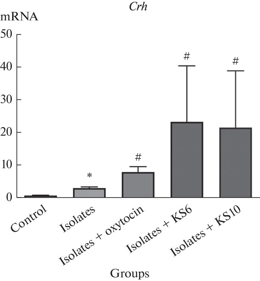 The Effect of Kisspeptin Preparations on the Expression of  and  Genes in the Brain of  after Social Isolation