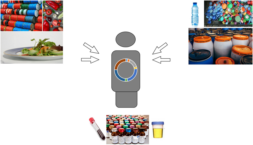 Quality assurance and quality control for human biomonitoring data—focus on matrix reference materials