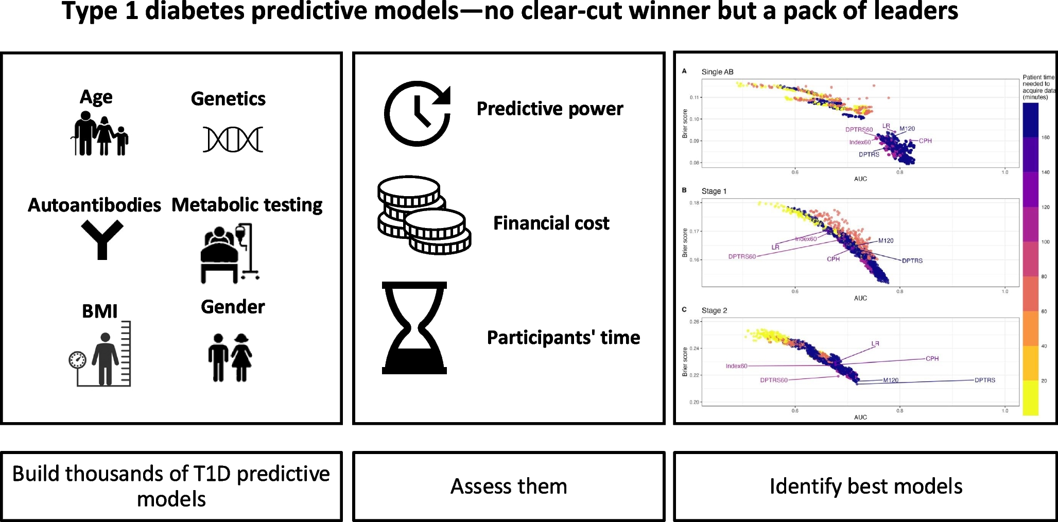 Type 1 diabetes prediction in autoantibody-positive individuals: performance, time and money matter
