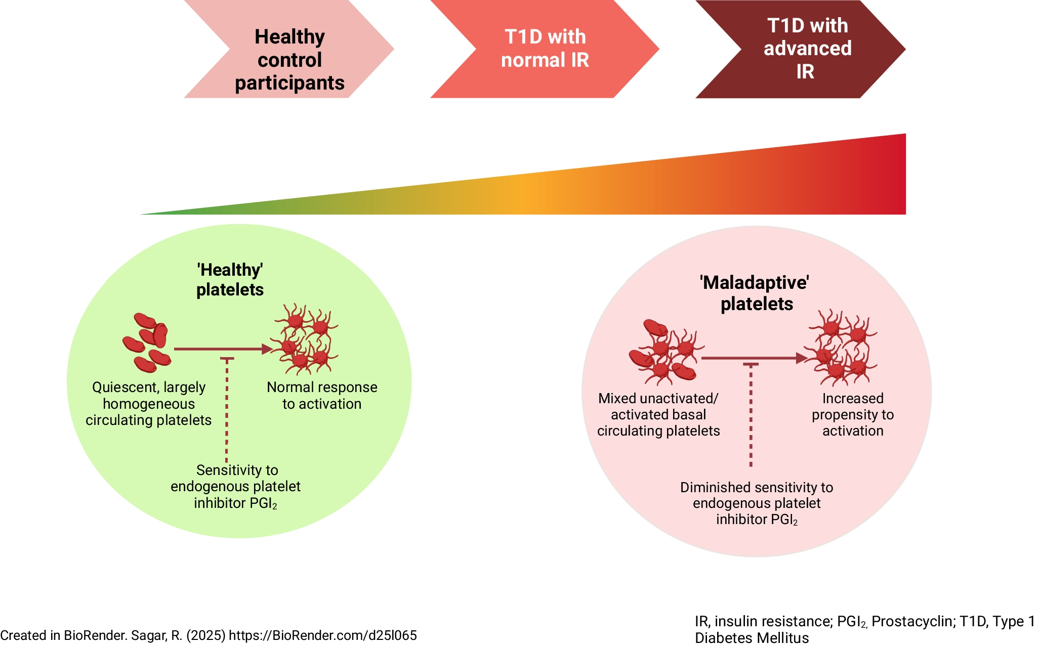 Insulin resistance in type 1 diabetes is a key modulator of platelet hyperreactivity