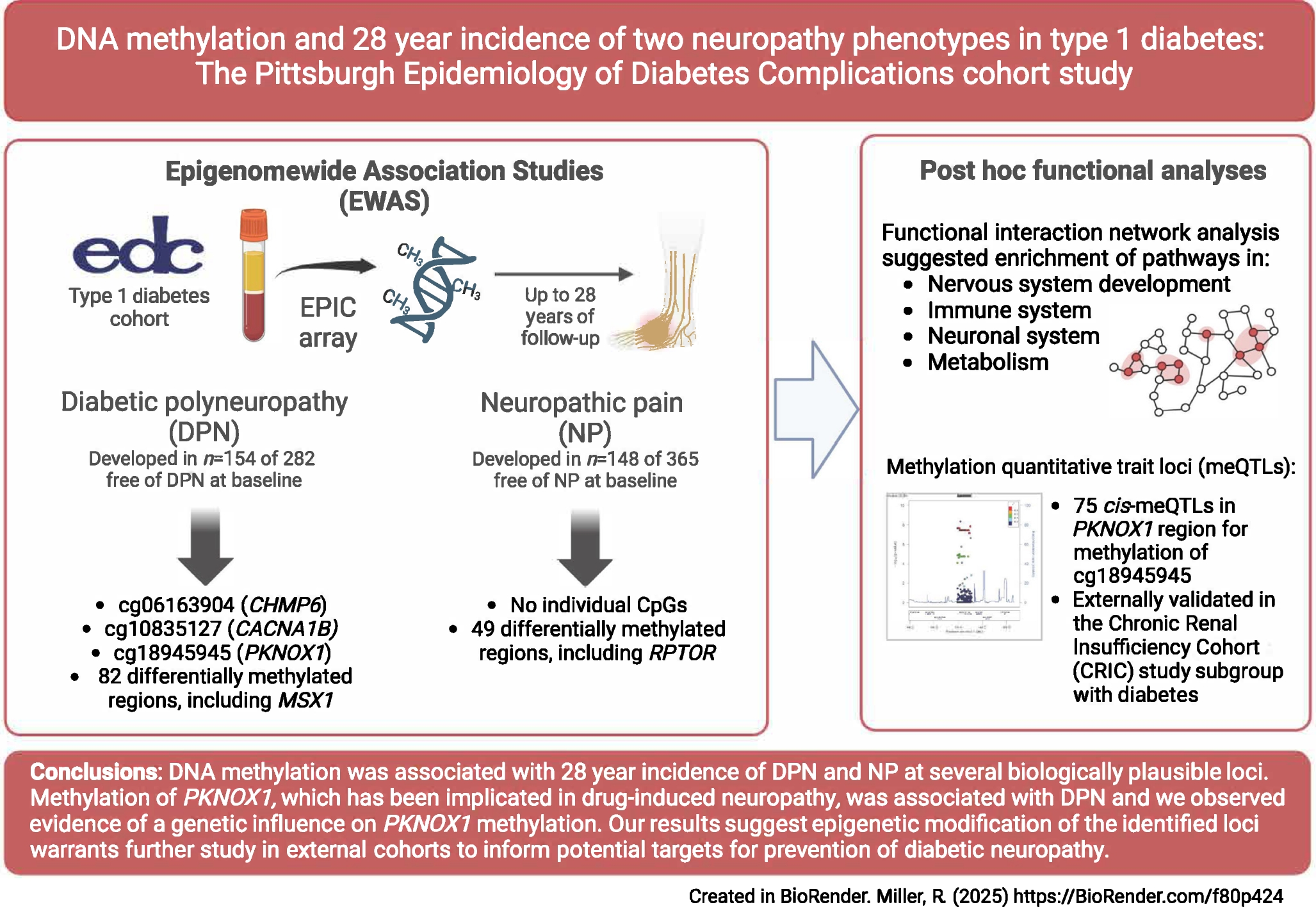 DNA methylation and 28 year incidence of two neuropathy phenotypes in type 1 diabetes: the Pittsburgh Epidemiology of Diabetes Complications cohort study