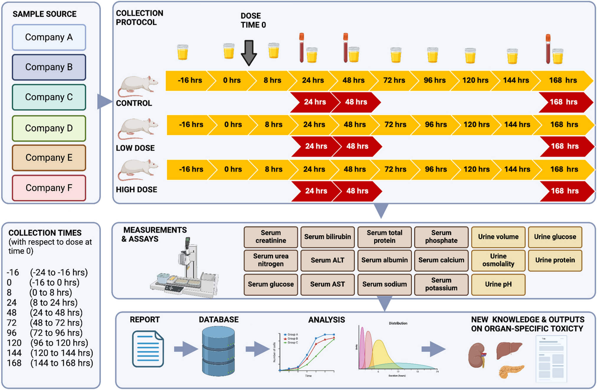 A clinical chemical atlas of xenobiotic toxicity for the Sprague–Dawley rat